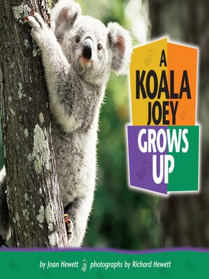 cover image of A Koala Joey Grows Up